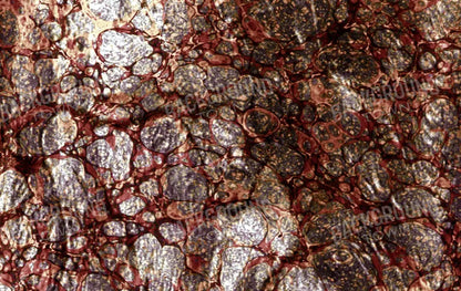 Recant 16X10 Ultracloth ( 192 X 120 Inch ) Backdrop