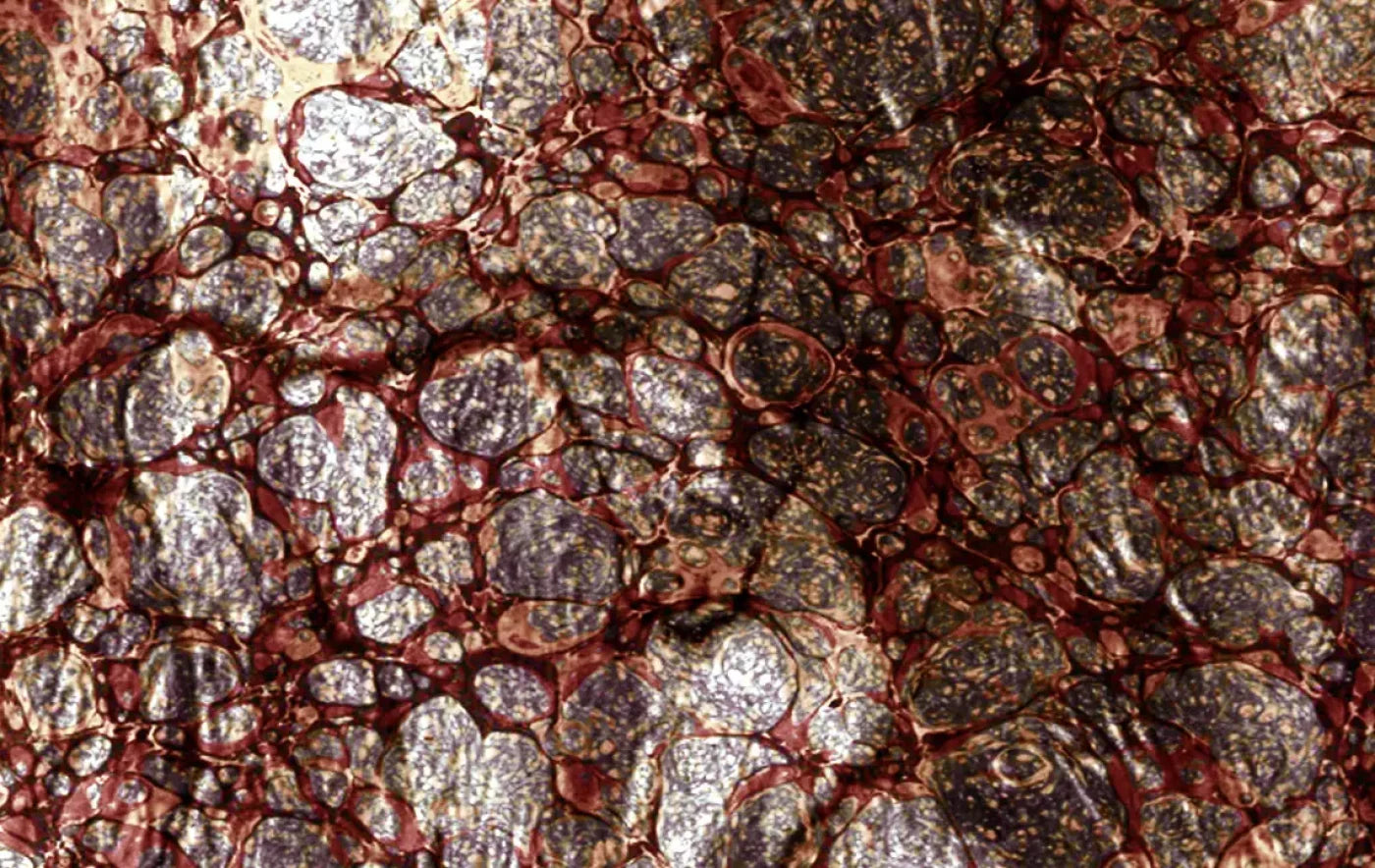 Recant 16X10 Ultracloth ( 192 X 120 Inch ) Backdrop