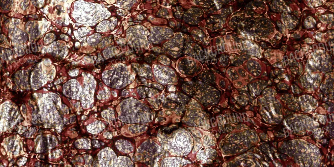 Recant 20X10 Ultracloth ( 240 X 120 Inch ) Backdrop