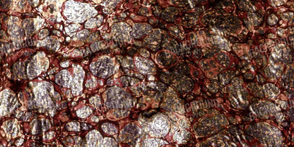 Recant 20X10 Ultracloth ( 240 X 120 Inch ) Backdrop