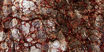 Recant 20X10 Ultracloth ( 240 X 120 Inch ) Backdrop