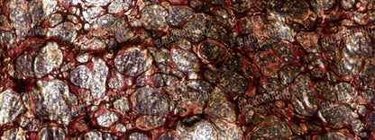 Recant 20X8 Ultracloth ( 240 X 96 Inch ) Backdrop