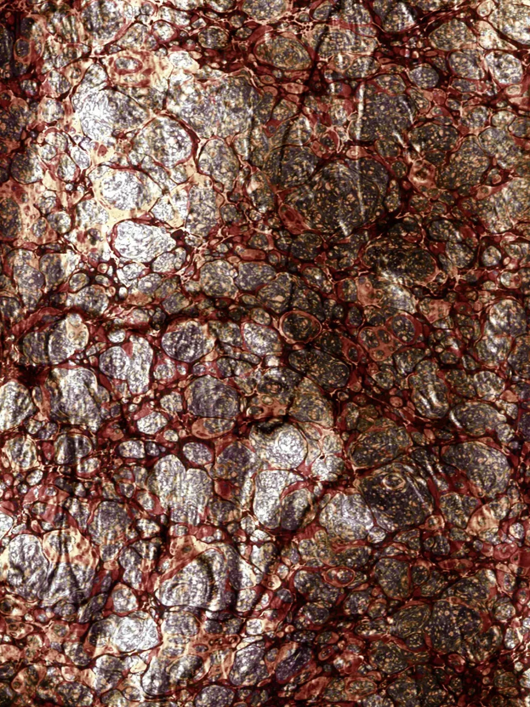 Recant 5X68 Fleece ( 60 X 80 Inch ) Backdrop