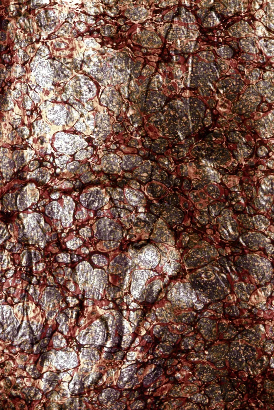 Recant 5X8 Ultracloth ( 60 X 96 Inch ) Backdrop