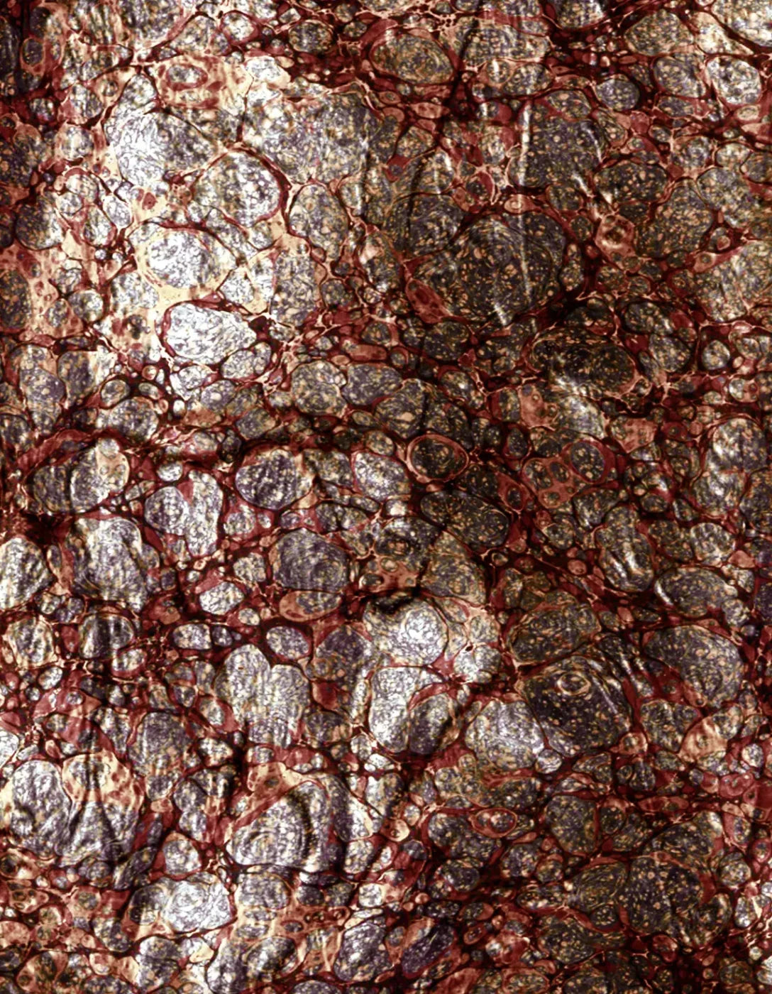 Recant 6X8 Fleece ( 72 X 96 Inch ) Backdrop