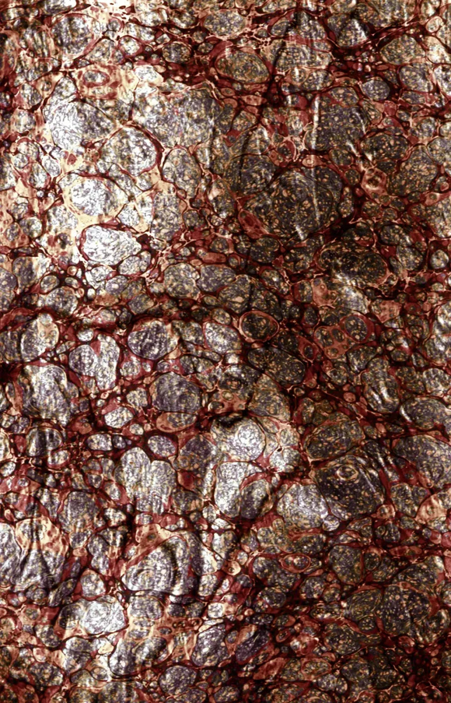Recant 8X12 Ultracloth ( 96 X 144 Inch ) Backdrop