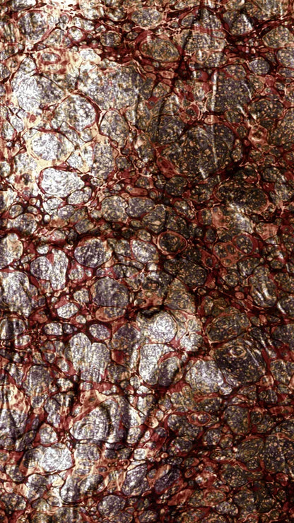 Recant 8X14 Ultracloth ( 96 X 168 Inch ) Backdrop