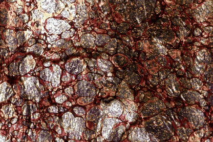 Recant 8X5 Ultracloth ( 96 X 60 Inch ) Backdrop