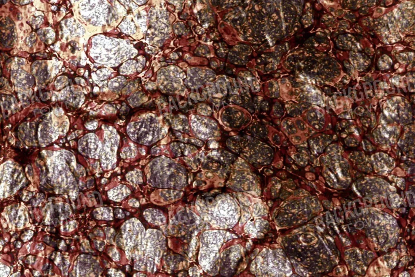 Recant 8X5 Ultracloth ( 96 X 60 Inch ) Backdrop