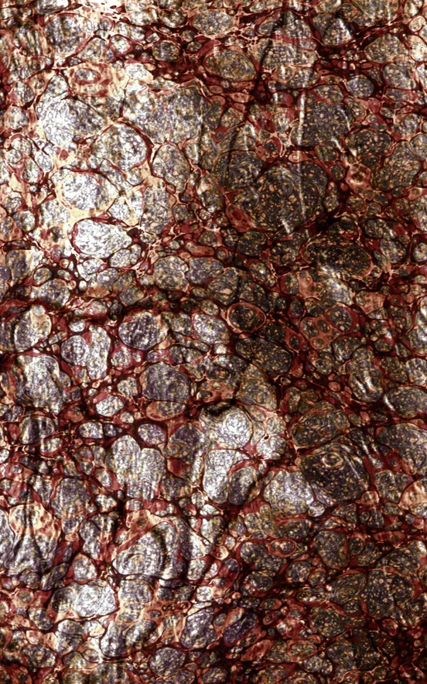 Recant 9X14 Ultracloth ( 108 X 168 Inch ) Backdrop