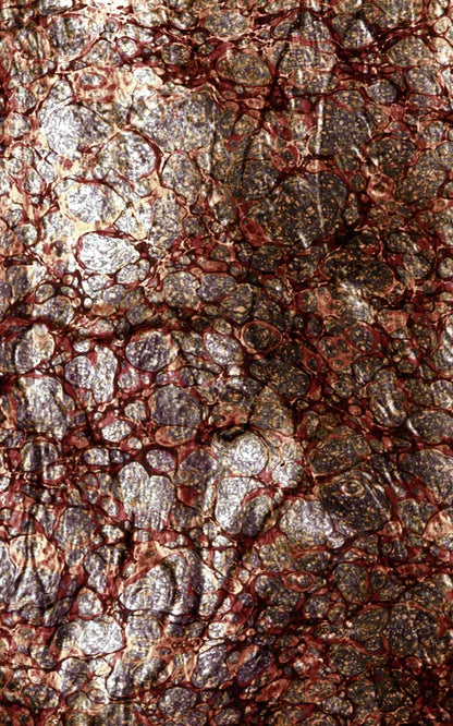 Recant 9X14 Ultracloth ( 108 X 168 Inch ) Backdrop