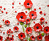 Red White Black  Backdrop for Photography