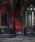Black , Red  Backdrop for Photography