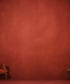 Red Wall   Backdrop for Photography