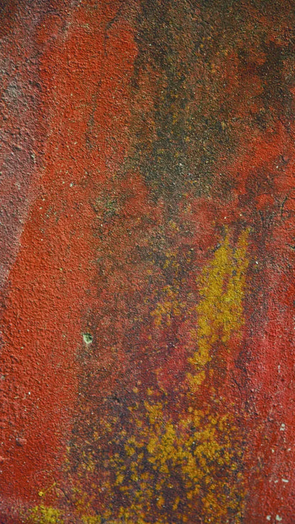 Red Wall 8X14 Ultracloth ( 96 X 168 Inch ) Backdrop