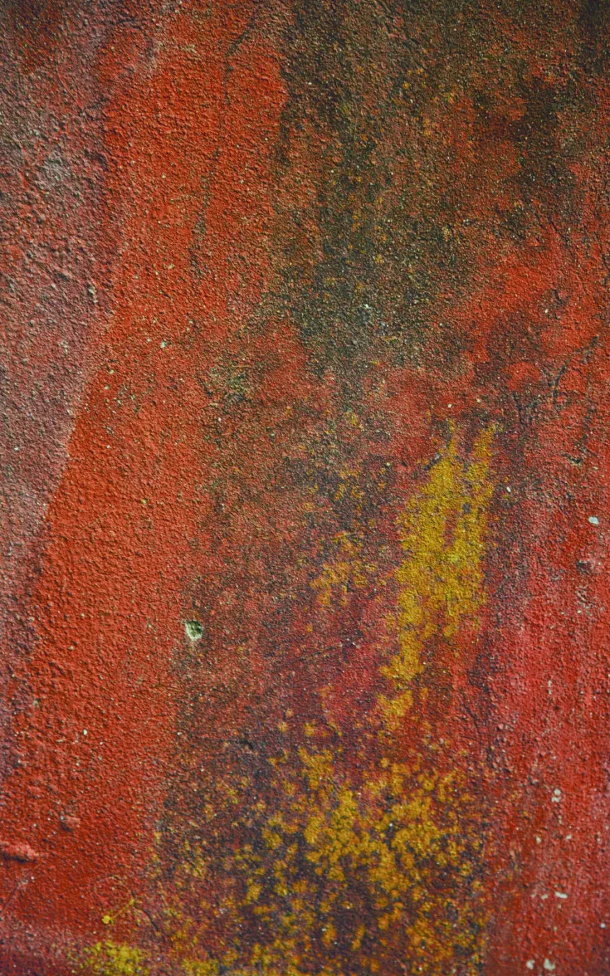 Red Wall 9X14 Ultracloth ( 108 X 168 Inch ) Backdrop