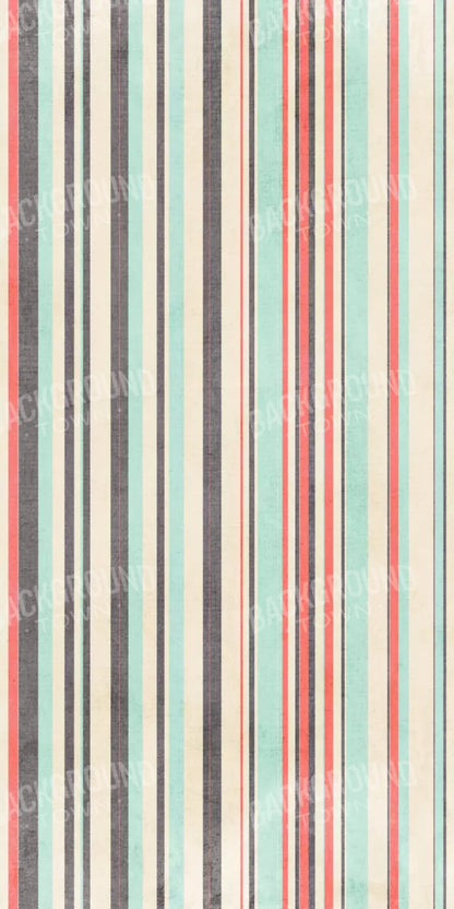 Reed 10X20 Ultracloth ( 120 X 240 Inch ) Backdrop