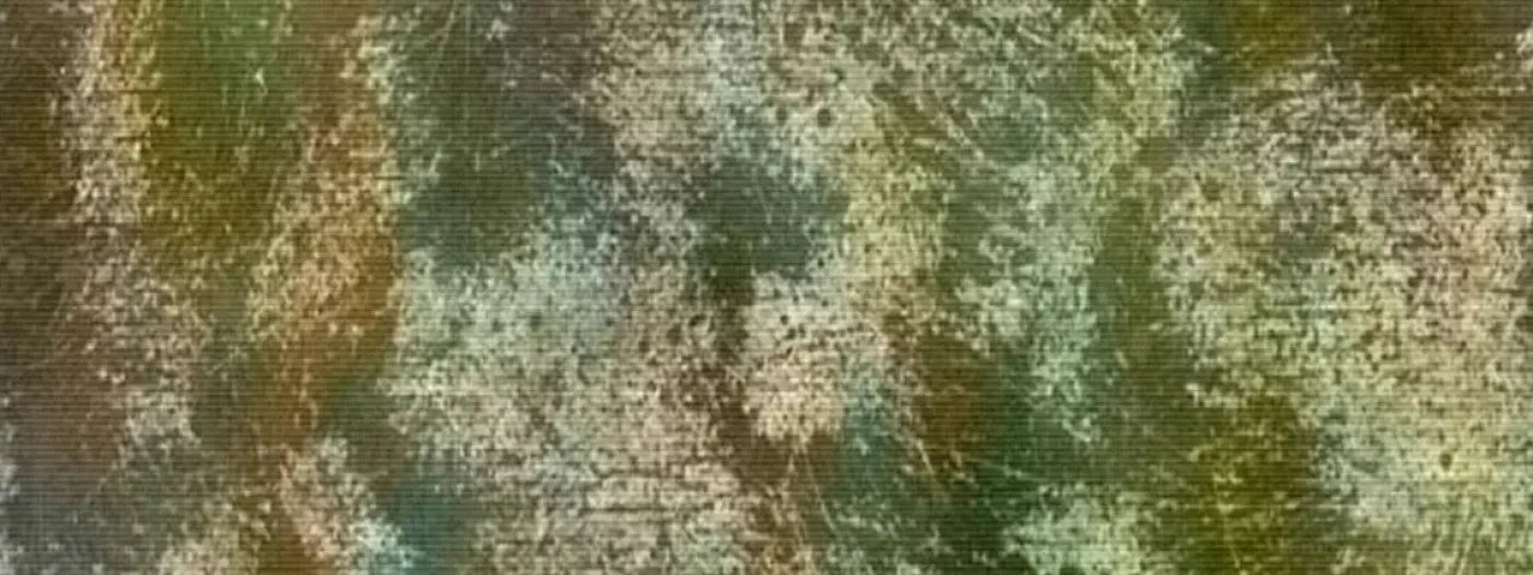 Reef 20X8 Ultracloth ( 240 X 96 Inch ) Backdrop
