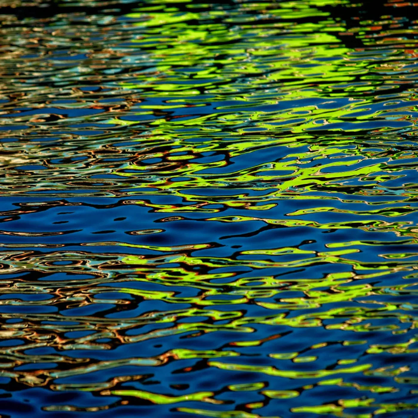 Reflections 10X10 Ultracloth ( 120 X Inch ) Backdrop