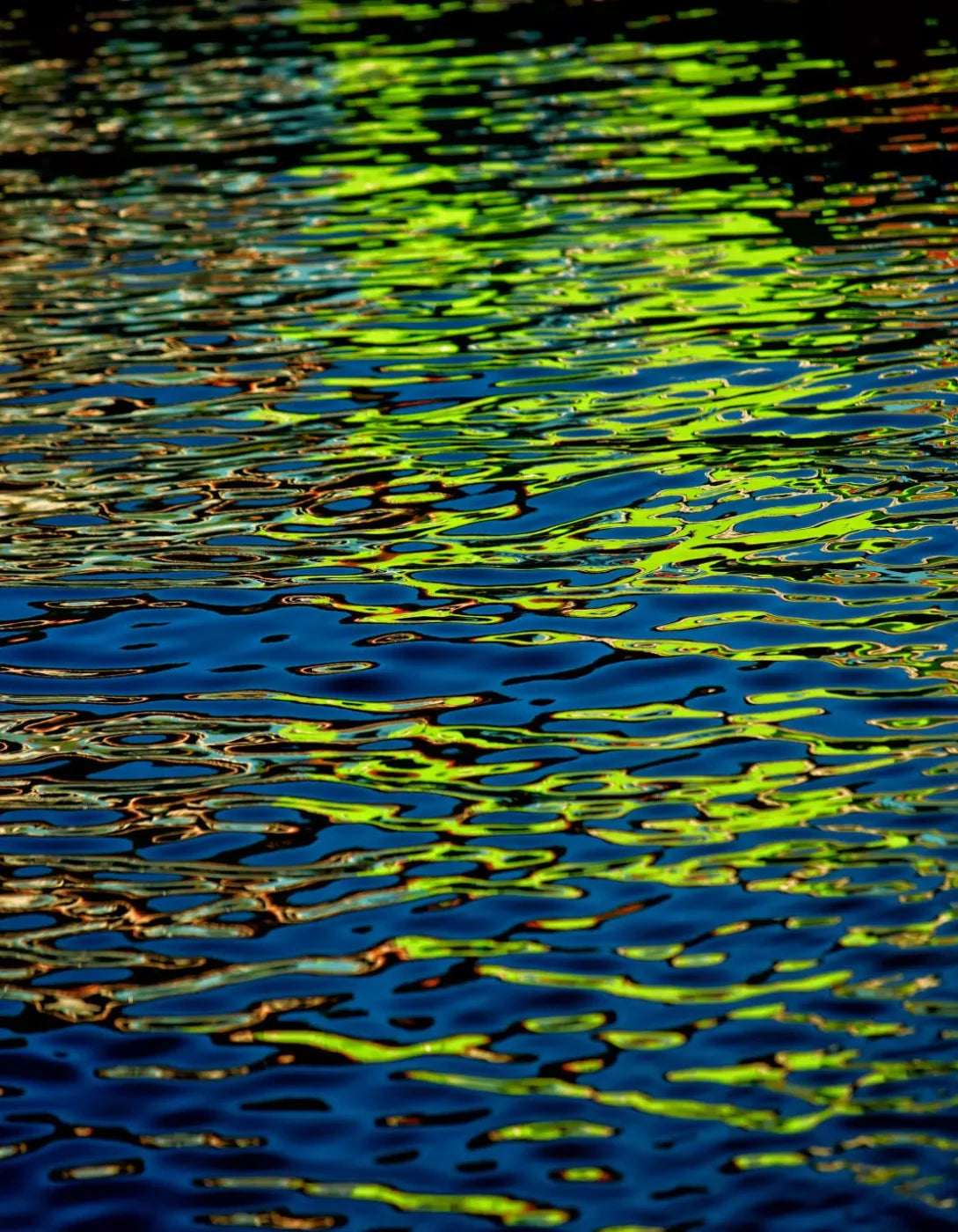 Reflections 6X8 Fleece ( 72 X 96 Inch ) Backdrop