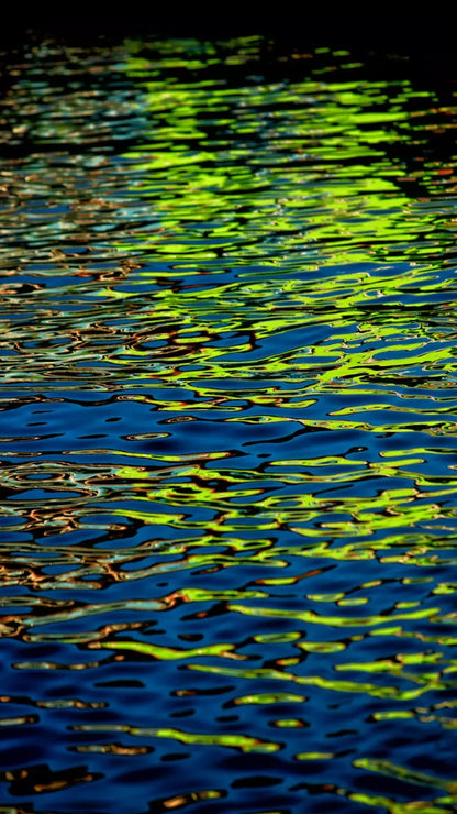Reflections 8X14 Ultracloth ( 96 X 168 Inch ) Backdrop