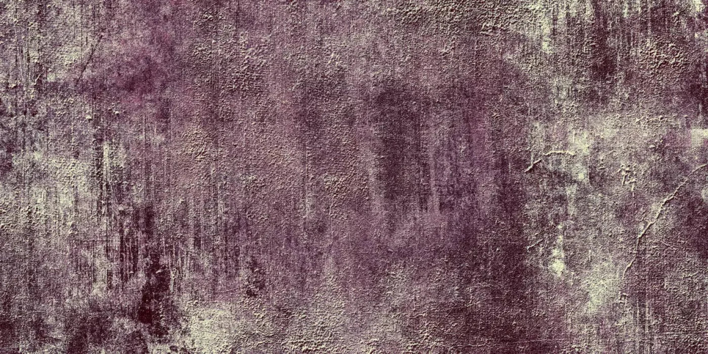 Refuse 20X10 Ultracloth ( 240 X 120 Inch ) Backdrop