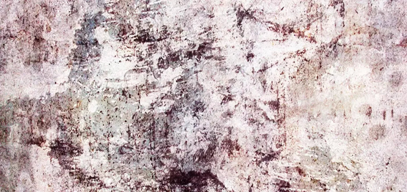 Regard 16’X8’ Ultracloth (192 X 96 Inch) Backdrop