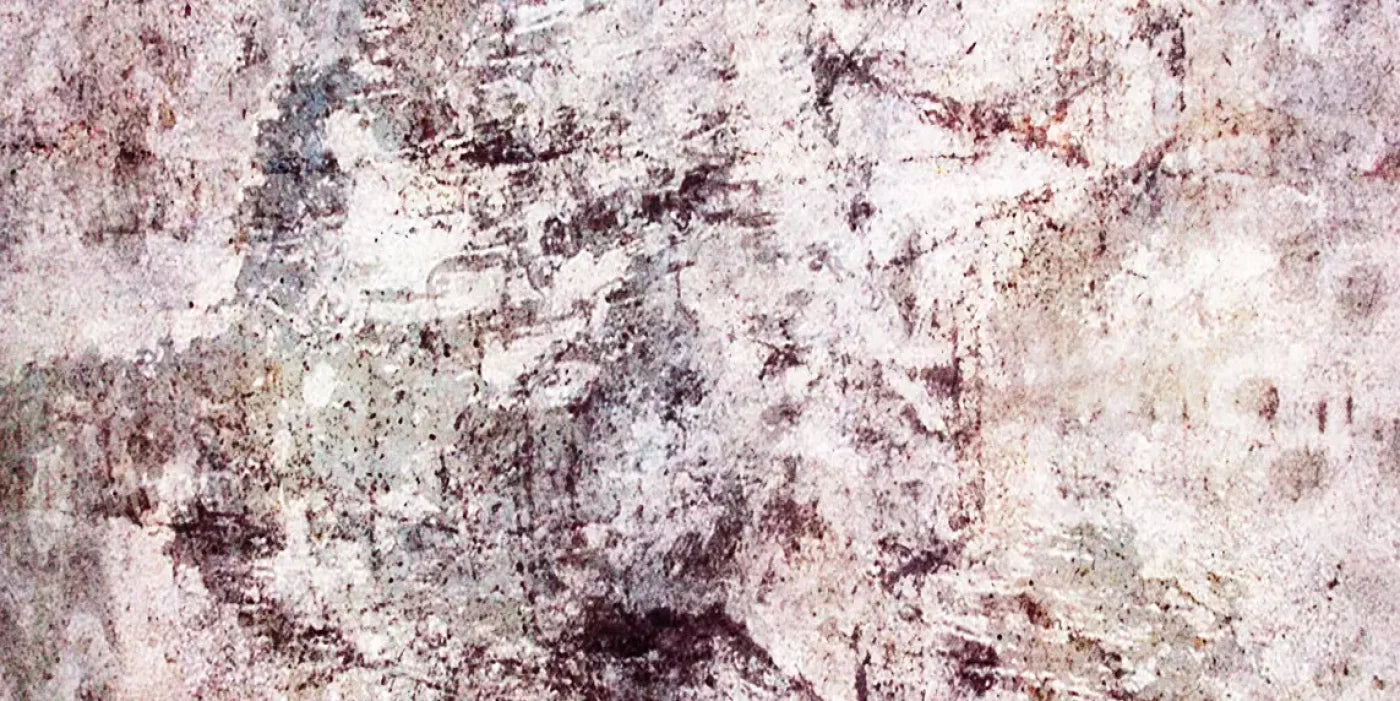 Regard 20’X10’ Ultracloth (240 X 120 Inch) Backdrop