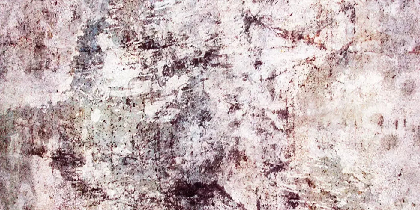 Regard 20’X10’ Ultracloth (240 X 120 Inch) Backdrop