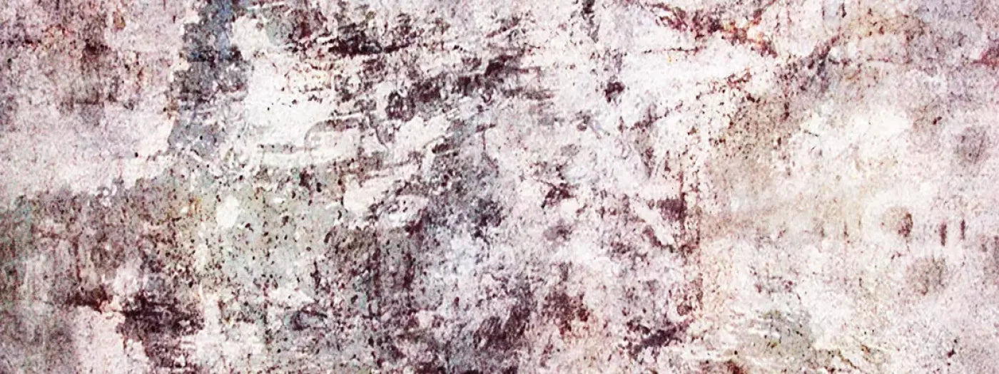 Regard 20’X8’ Ultracloth (240 X 96 Inch) Backdrop