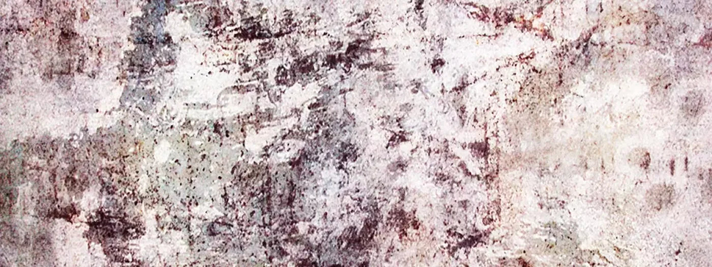 Regard 20’X8’ Ultracloth (240 X 96 Inch) Backdrop