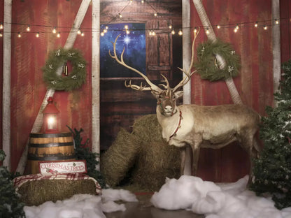Reindeer Barn 10X8 Fleece ( 120 X 96 Inch ) Backdrop
