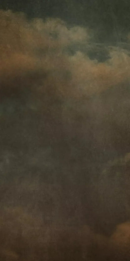 Renaissance Clouds Dark 10X20 Ultracloth ( 120 X 240 Inch ) Backdrop