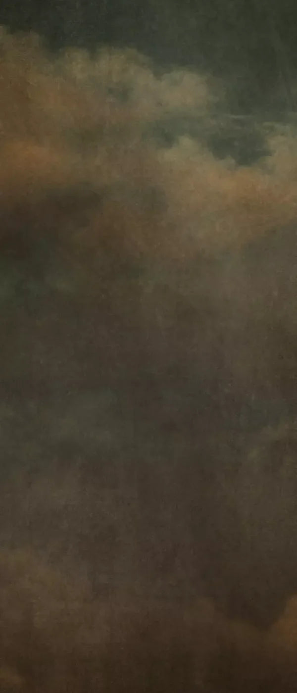 Renaissance Clouds Dark 5X12 Ultracloth For Westcott X-Drop ( 60 X 144 Inch ) Backdrop
