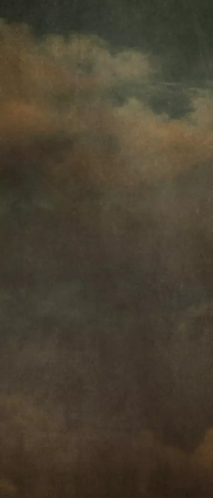 Renaissance Clouds Dark 5X12 Ultracloth For Westcott X-Drop ( 60 X 144 Inch ) Backdrop