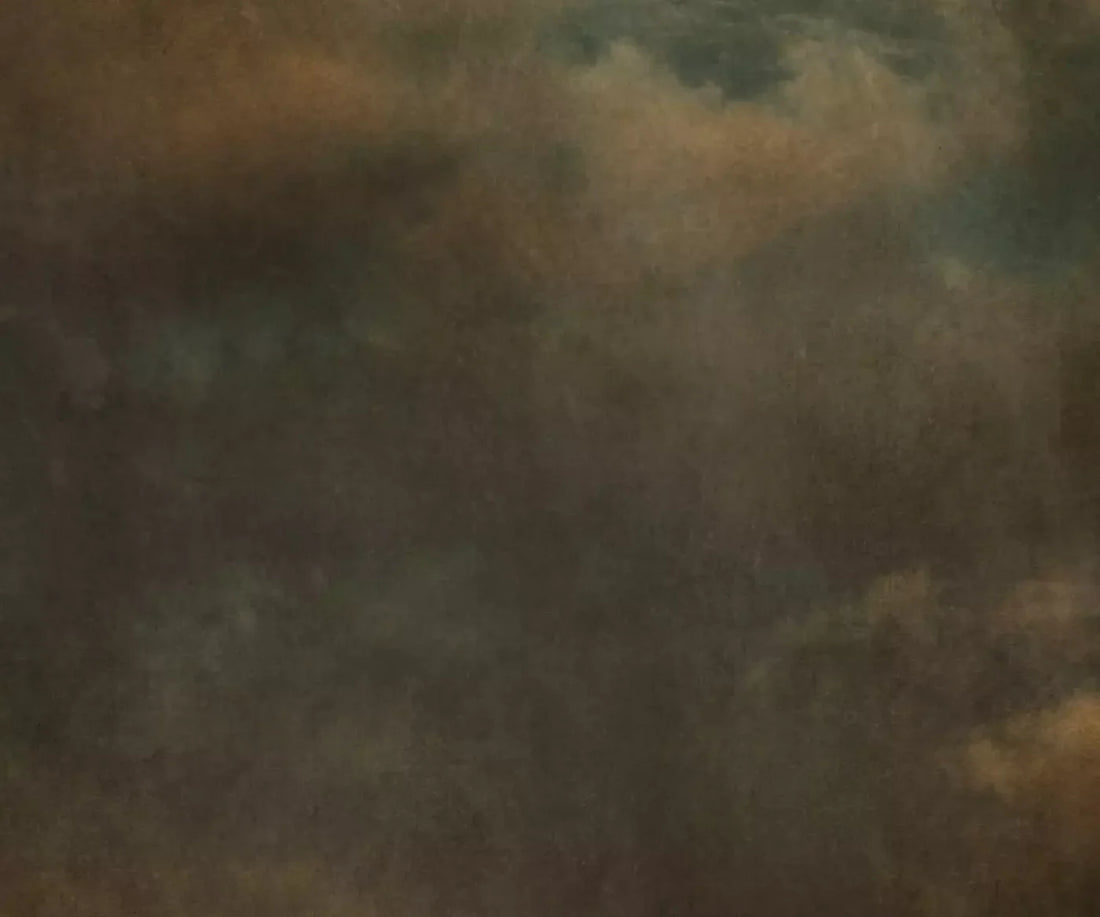 Renaissance Clouds Dark 5X42 Fleece ( 60 X 50 Inch ) Backdrop