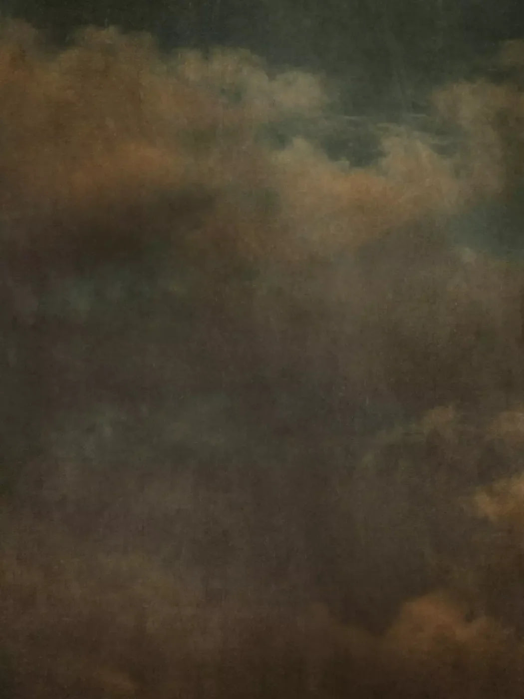 Renaissance Clouds Dark 8X10 Fleece ( 96 X 120 Inch ) Backdrop