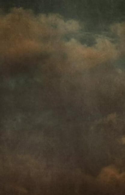 Renaissance Clouds Dark 8X12 Ultracloth ( 96 X 144 Inch ) Backdrop