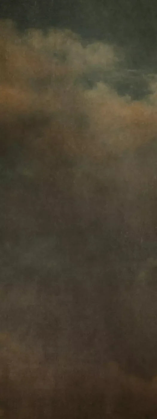 Renaissance Clouds Dark 8X20 Ultracloth ( 96 X 240 Inch ) Backdrop