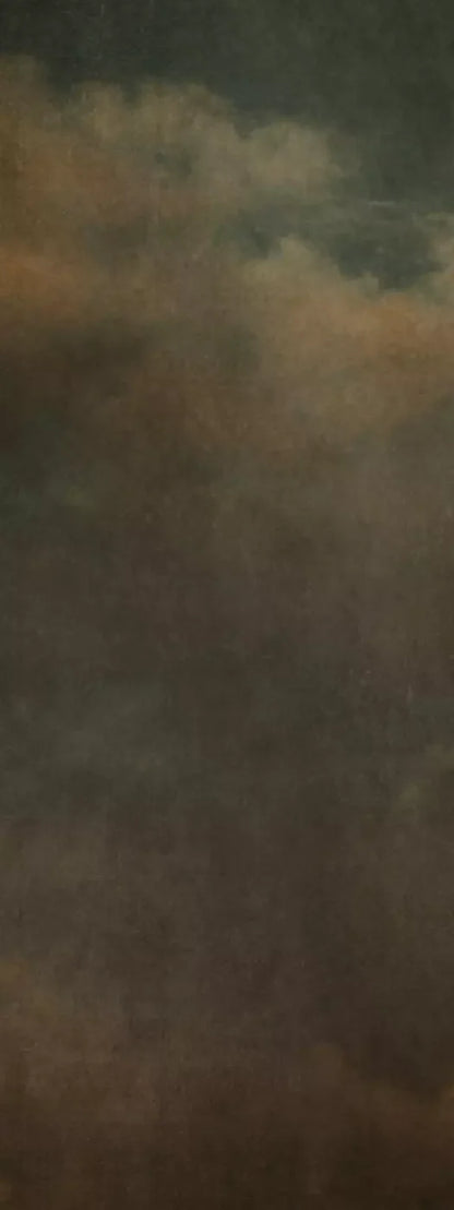 Renaissance Clouds Dark 8X20 Ultracloth ( 96 X 240 Inch ) Backdrop