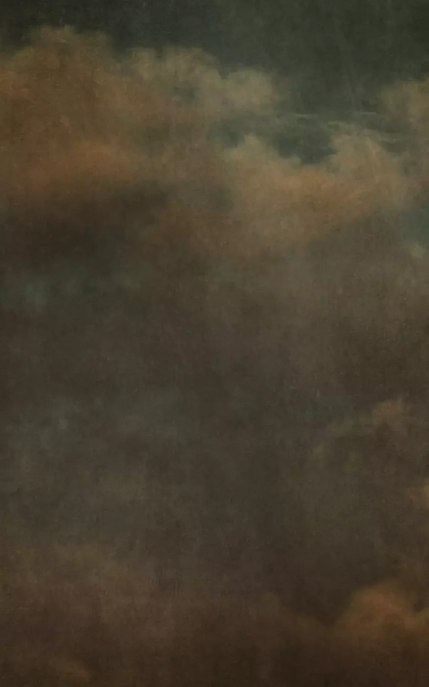 Renaissance Clouds Dark 9X14 Ultracloth ( 108 X 168 Inch ) Backdrop