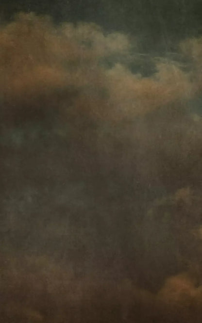 Renaissance Clouds Dark 9X14 Ultracloth ( 108 X 168 Inch ) Backdrop