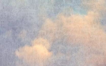 Renaissance Clouds Light 14X9 Ultracloth ( 168 X 108 Inch ) Backdrop