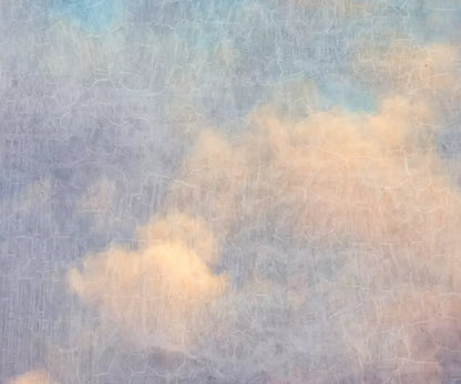 Renaissance Clouds Light 5X42 Fleece ( 60 X 50 Inch ) Backdrop