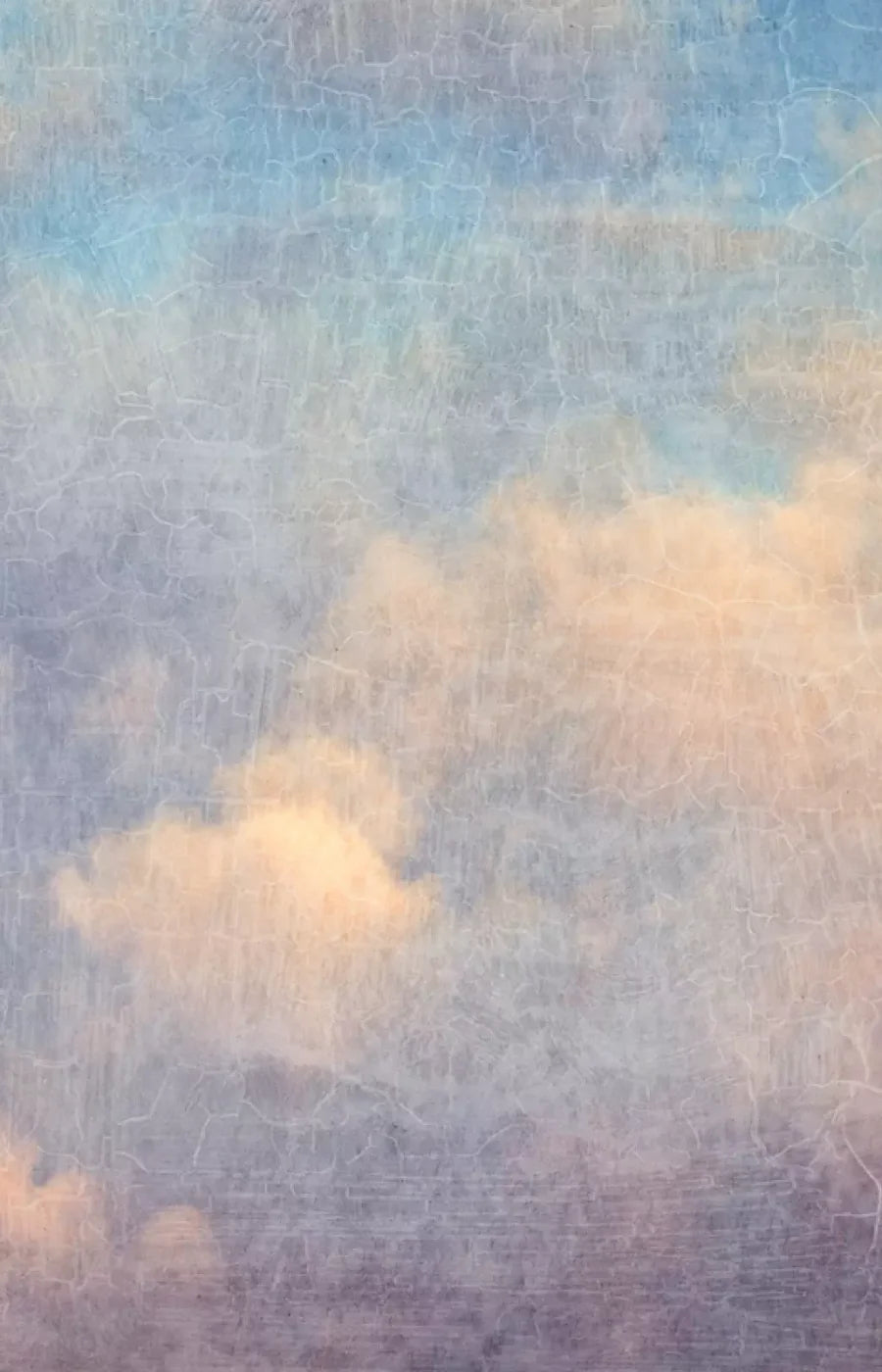 Renaissance Clouds Light 8X12 Ultracloth ( 96 X 144 Inch ) Backdrop