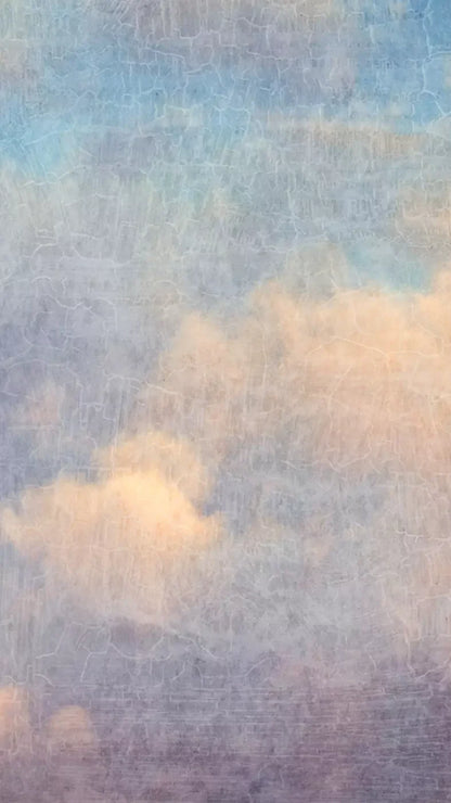 Renaissance Clouds Light 8X14 Ultracloth ( 96 X 168 Inch ) Backdrop