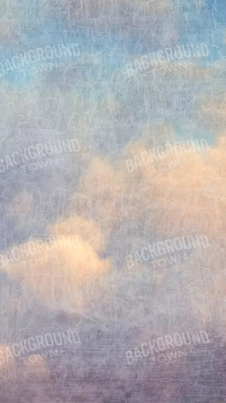 Renaissance Clouds Light 8X14 Ultracloth ( 96 X 168 Inch ) Backdrop