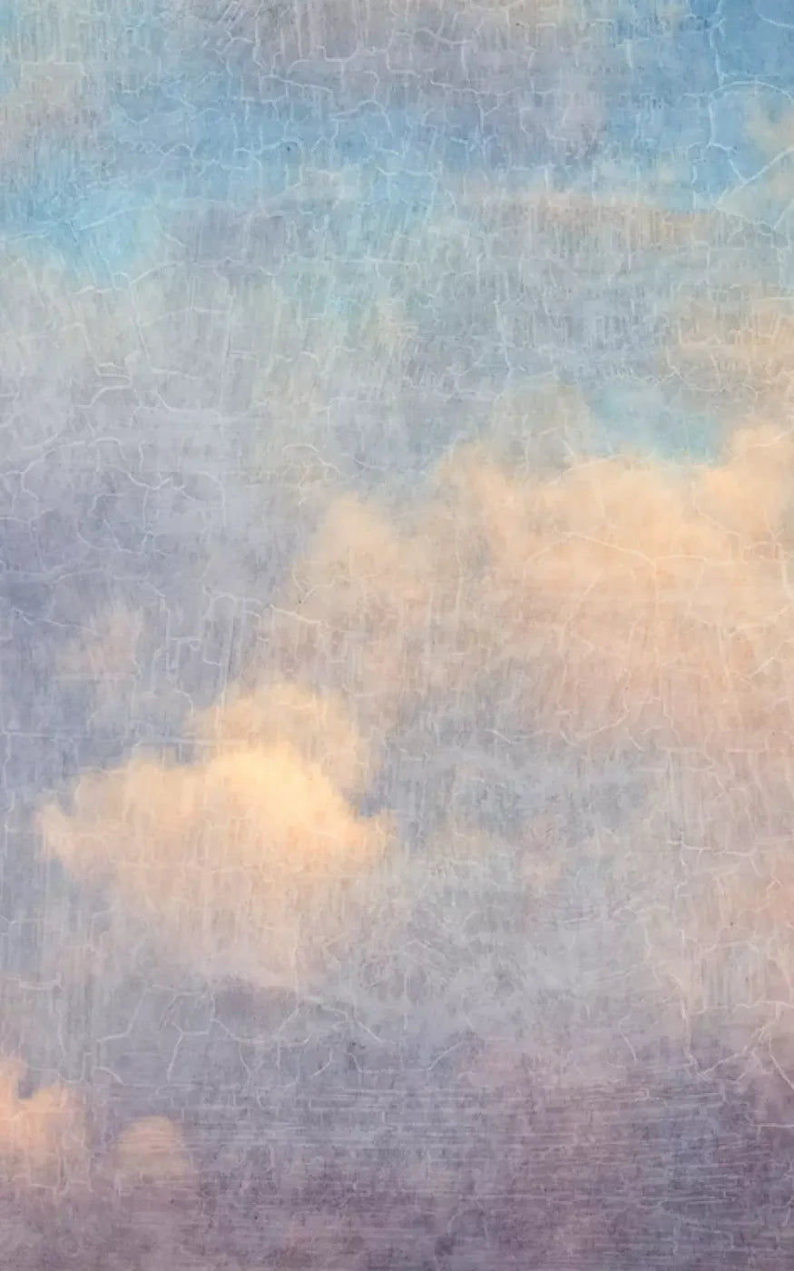 Renaissance Clouds Light 9X14 Ultracloth ( 108 X 168 Inch ) Backdrop