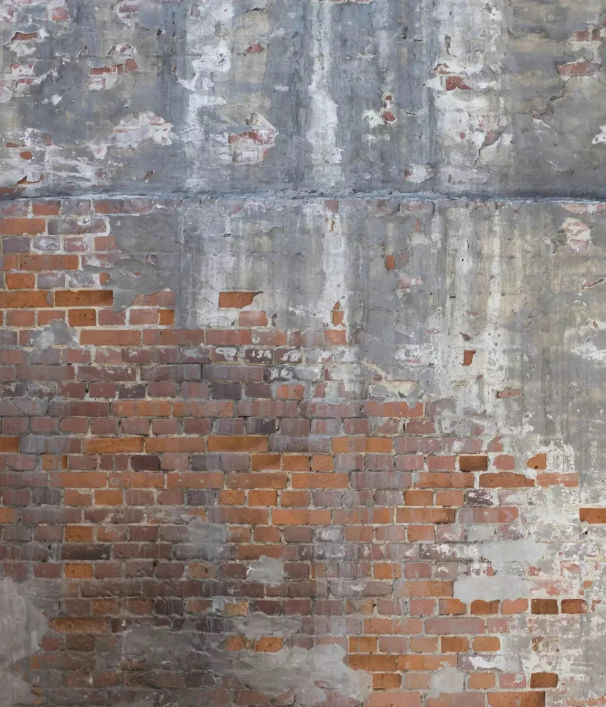 Renovation 10X12 Ultracloth ( 120 X 144 Inch ) Backdrop