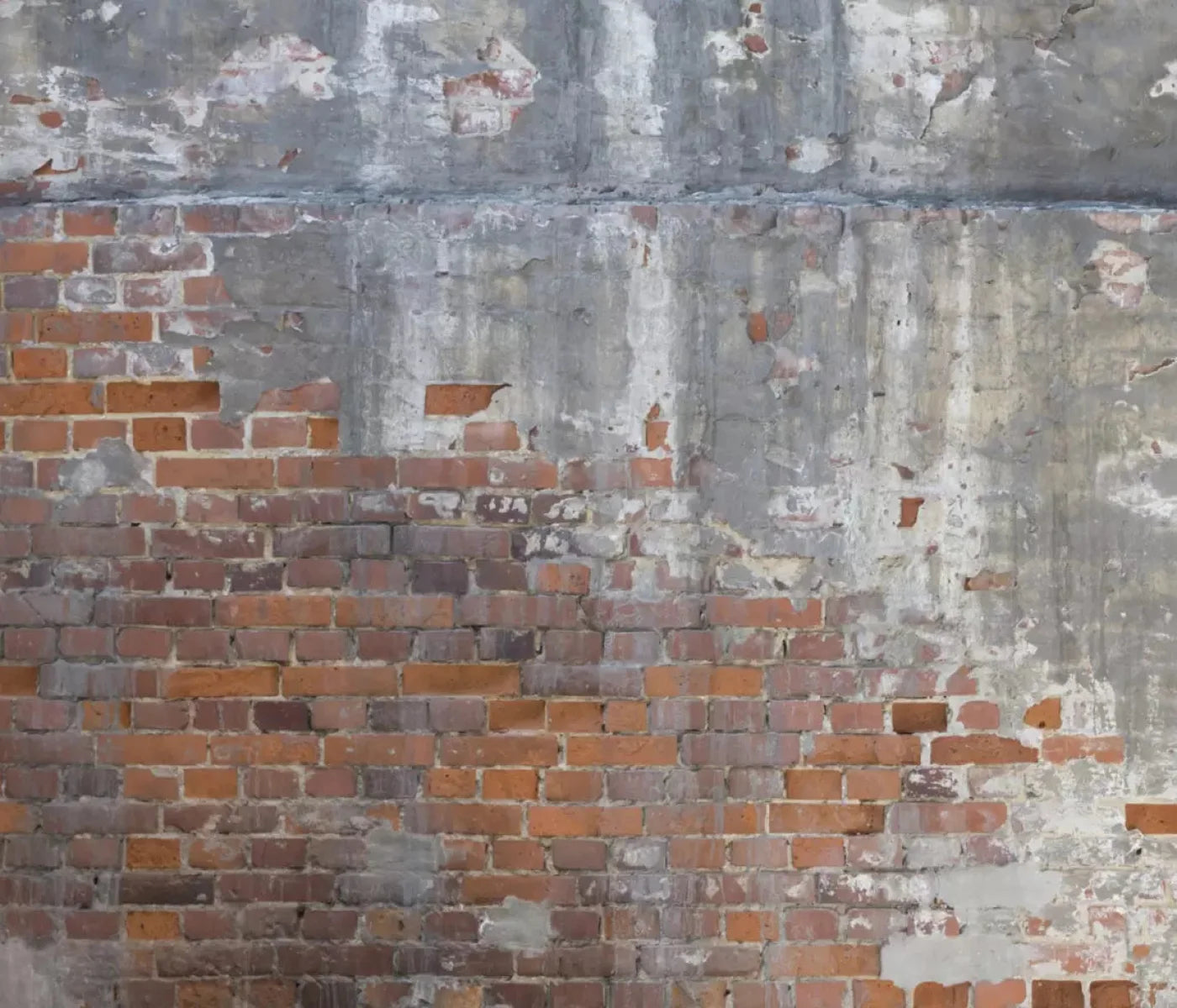 Renovation 12X10 Ultracloth ( 144 X 120 Inch ) Backdrop